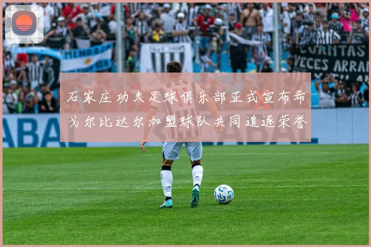 石家庄功夫足球俱乐部正式宣布希戈尔比达尔加盟球队共同追逐荣誉
